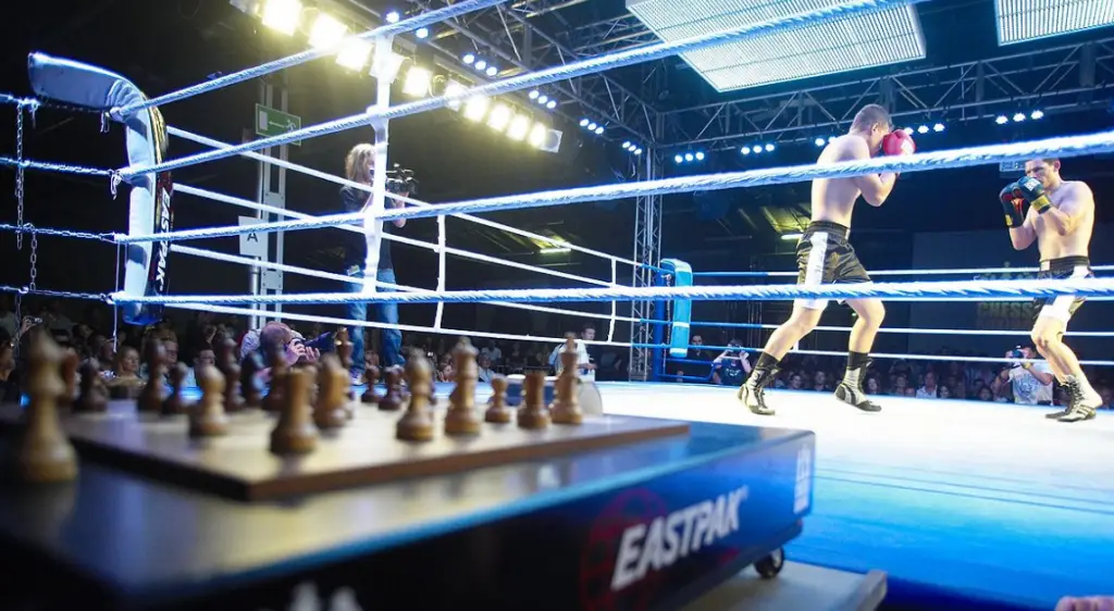 Weirdest sports in the world chess boxing