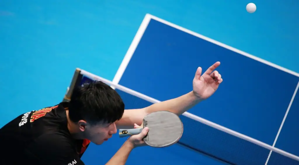 25 Facts About Table Tennis