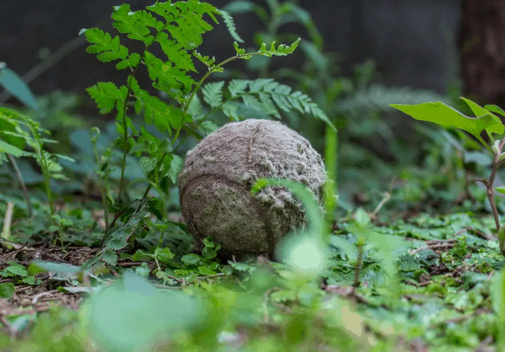 tennis ball waste