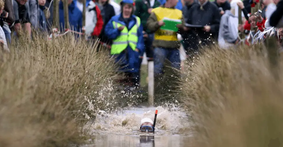 bog snorkeling